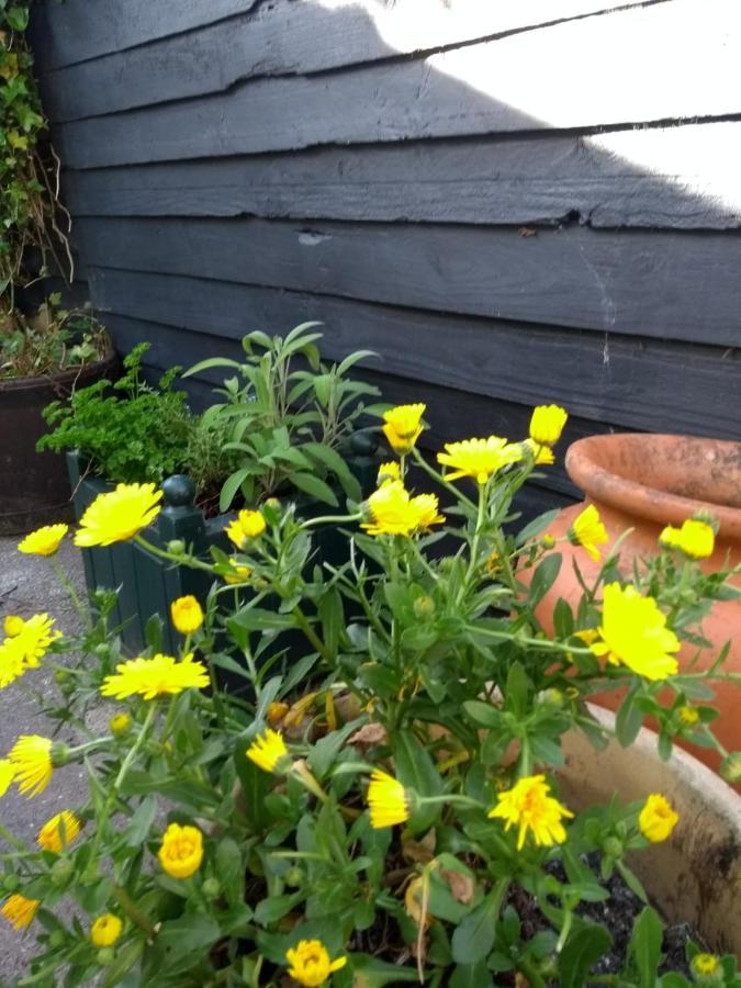 Willa Cosy, Dog Friendly House On The Fringe Of The Brecon Beacons Tredegar Zewnętrze zdjęcie